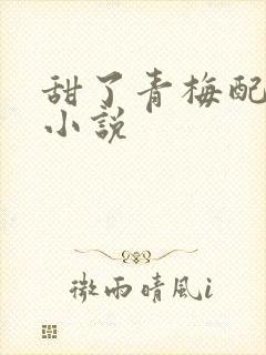 甜了青梅配竹马小说