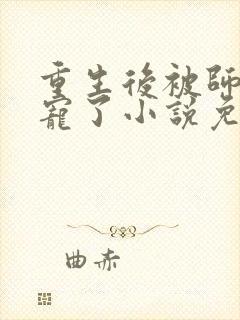 重生后被师尊强宠了小说免费观看封面