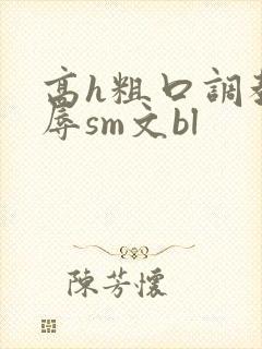 高h粗口调教羞辱sm文bl