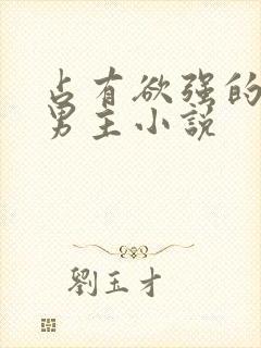 占有欲强的病娇男主小说