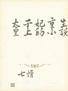 太子妃重生嫁给皇上的小说