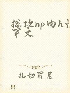 总攻np肉h快穿文