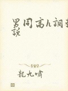 男同高h调教小说封面