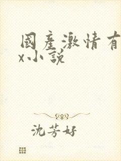 国产激情有色xx小说
