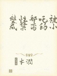 双性哪吒被调教成禁脔的小说