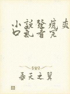 小说发疯爽文一口气看完