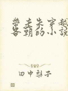 带老朱穿越大明各朝的小说封面