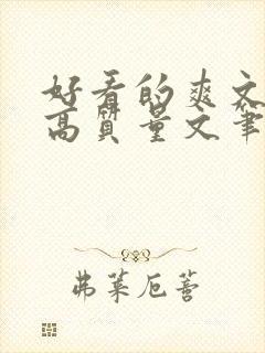 好看的爽文小说高质量文笔好