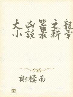 大凶器之龙傻子小说最新章节免费阅读