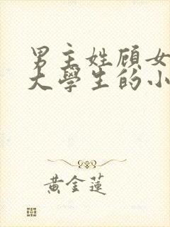 男主姓顾女主是大学生的小说