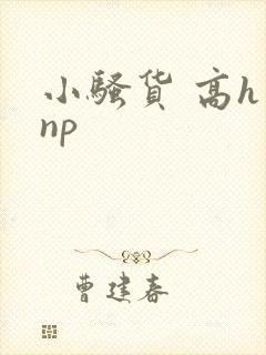 小骚货 高h np