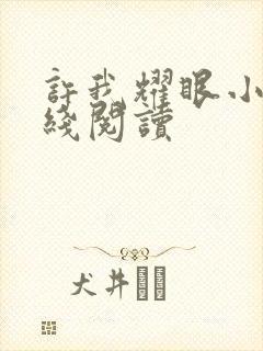 许我耀眼小说在线阅读