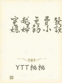 穿越免费发三个媳妇的小说