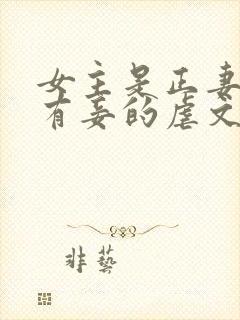 女主是正妻男主有妾的虐文