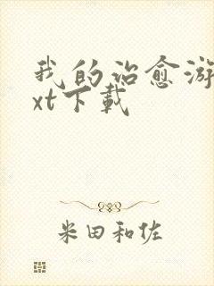 我的治愈游戏txt下载