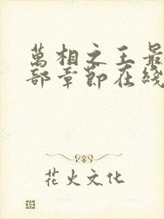 万相之王最新全部章节在线阅读