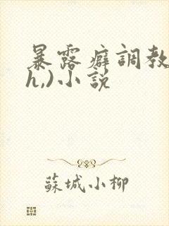 暴露癖调教(高h,)小说封面