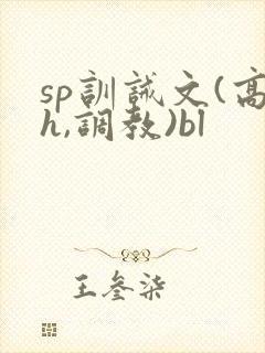 sp训诫文(高h,调教)bl