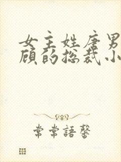 女主姓唐男主姓顾的总裁小说封面