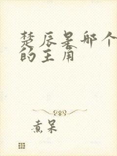 楚辰是哪个小说的主角