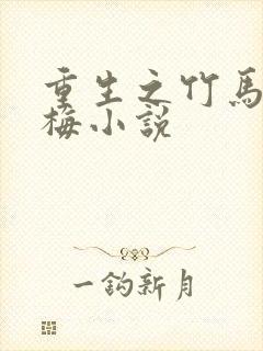 重生之竹马要青梅小说