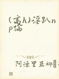 (高h)淫趴np伦