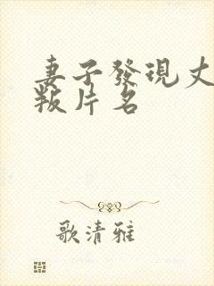 妻子发现丈夫背叛片名