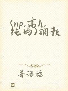(np,高h,纯肉)调教封面