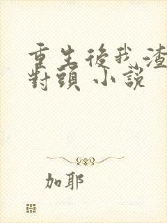 重生后我渣了死对头 小说封面