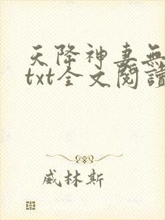 天降神妻无删减txt全文阅读下载