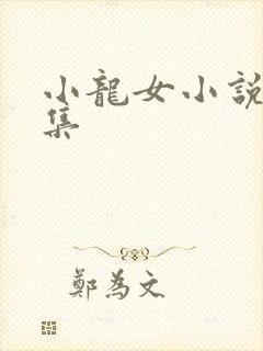 小龙女小说短篇集