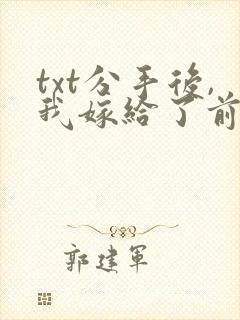 txt分手后,我嫁给了前男友的小叔封面