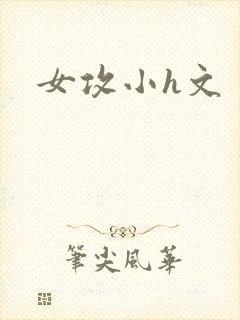 女攻小h文