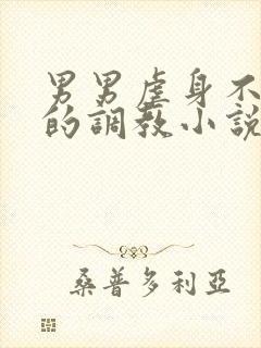 男男虐身不虐心的调教小说