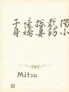 千亿总裁独宠替身娇妻的小说