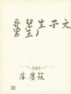 哥儿生子文(双男主)