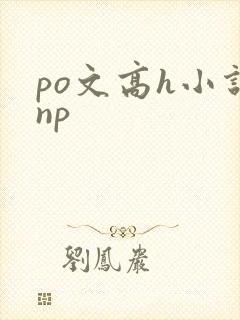 po文高h小说np
