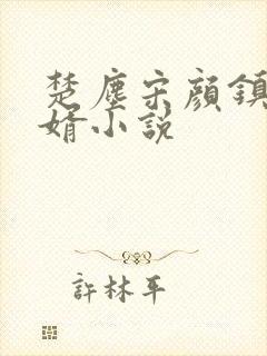 楚尘宋颜镇国神婿小说