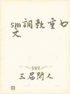 sm调教重口h文封面