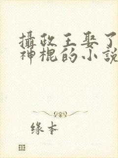 摄政王娶了个小神棍的小说