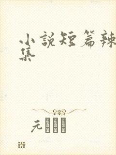 小说短篇辣文合集