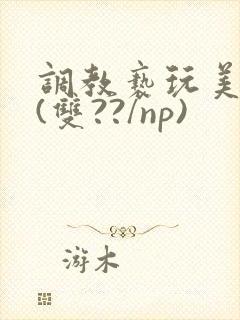 调教亵玩美人受(双??/np)