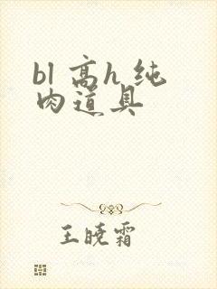 bl 高h 纯肉道具