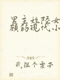 男主姓陆女主姓顾的现代小说