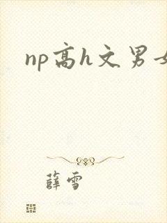 np高h文男女封面