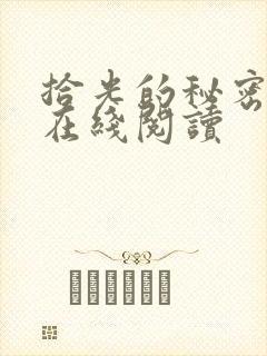 拾光的秘密小说在线阅读