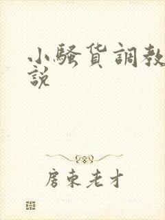 小骚货调教h小说