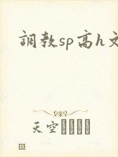 调教sp高h文