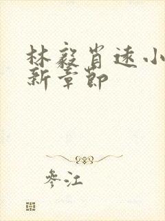 林毅肖远小说最新章节封面