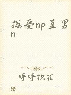 总受np直男苏n